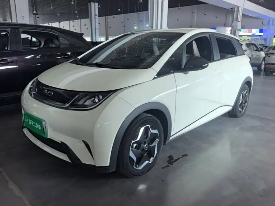 BYD Dolphin 420km Vitality Edition 2024