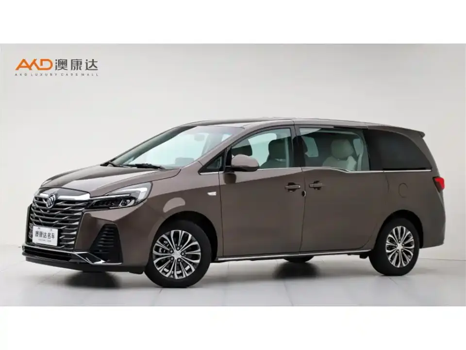 Buick GL8 Model Land Business Class Comfort 2024