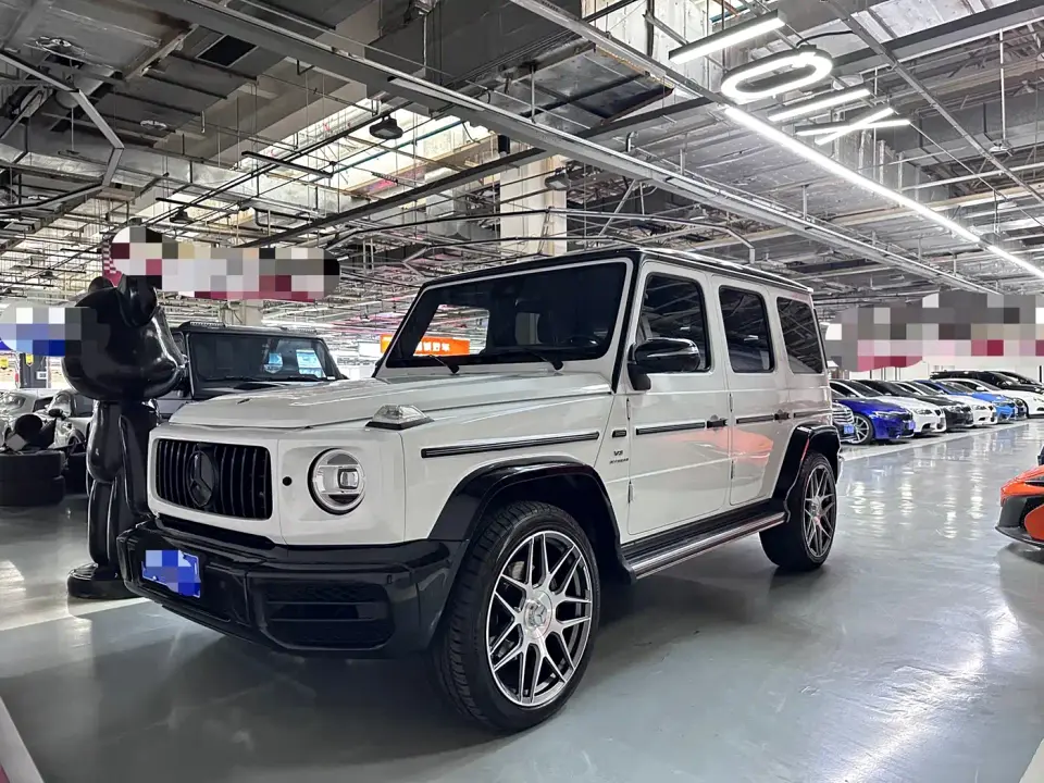 Mercedes-Benz G-Class G 350 2021