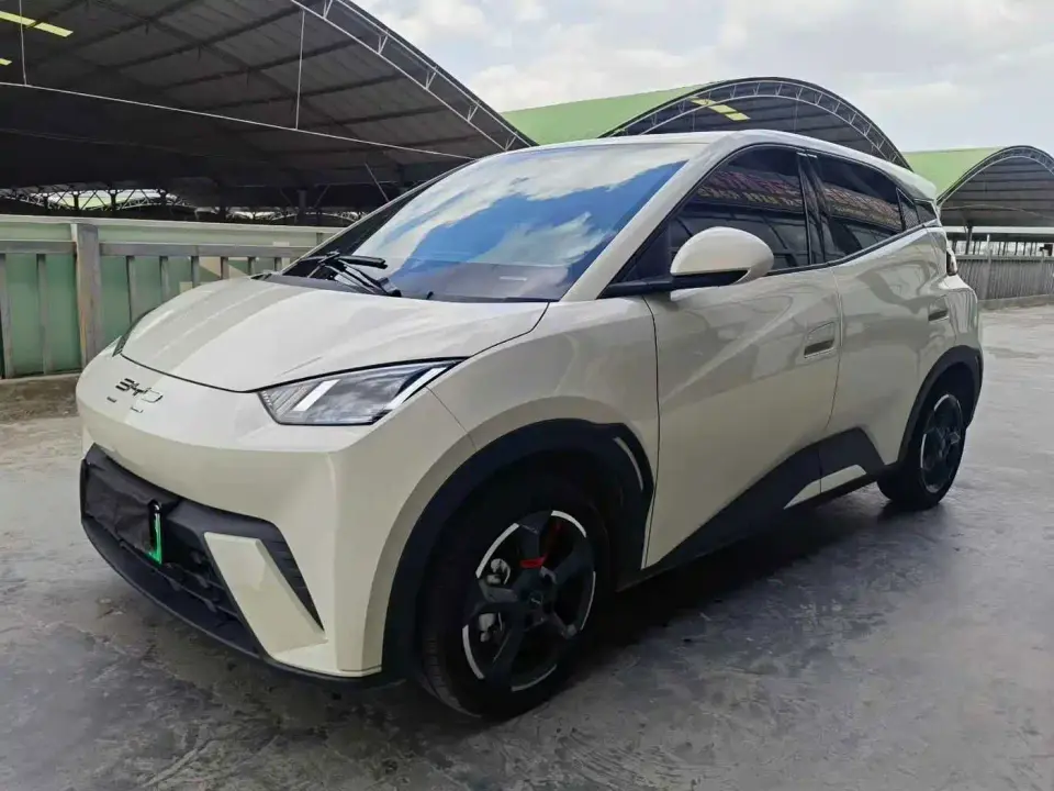 BYD Seagull Glory Edition 405km Soaring Edition 2024