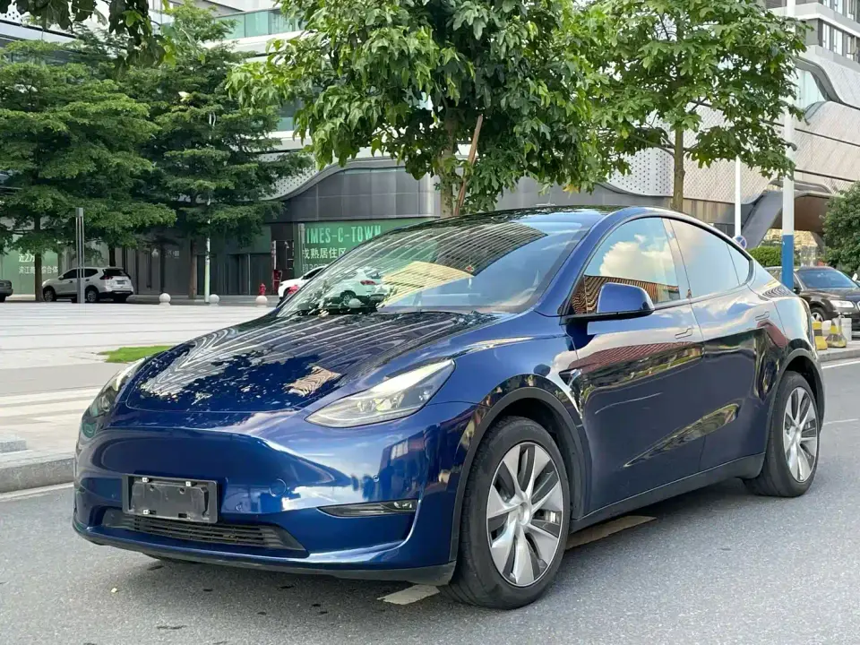 Tesla Model Y Long Range All-Wheel Drive 3D7 2021