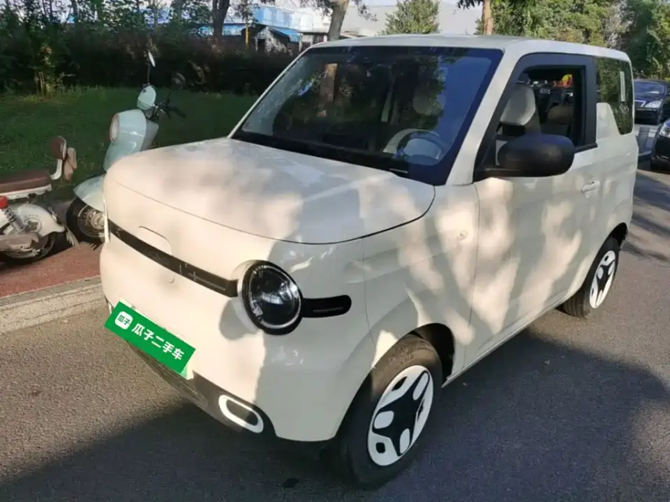 Geely Galaxy Panda Panda mini 210km Vitality Bear 2025