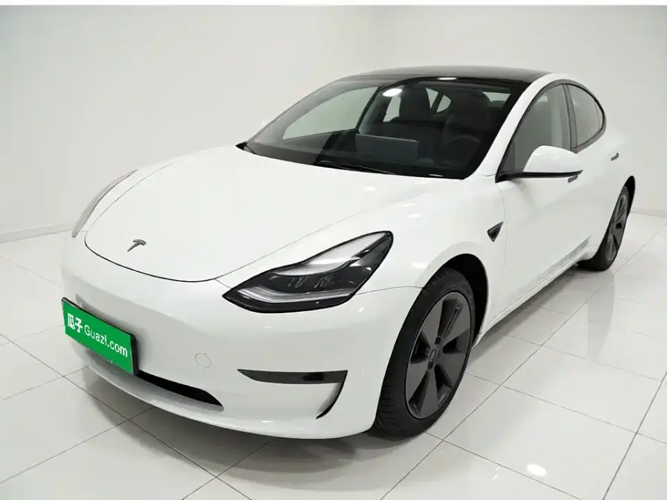 Tesla Model 3 Standard Range Rear-Wheel Drive Upgrade 3D6 2021