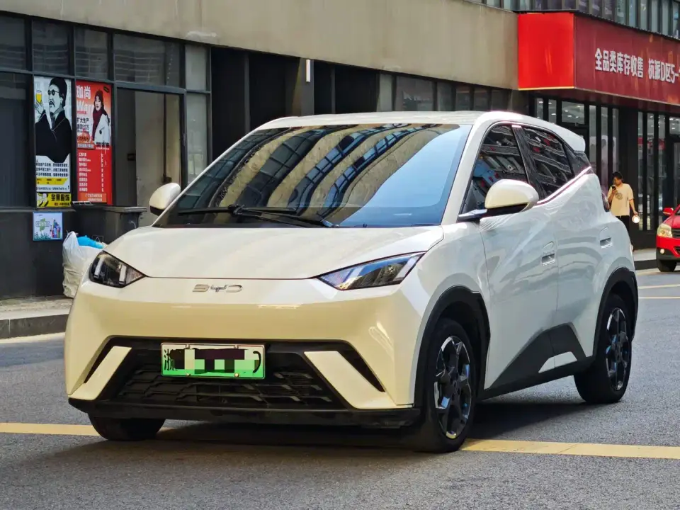 BYD Seagull Glory Edition 405km Soaring Edition 2024