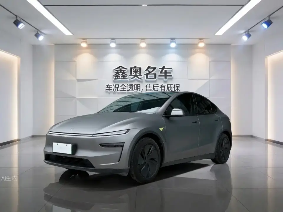 Tesla Model Y Long Range All-Wheel Drive 2025