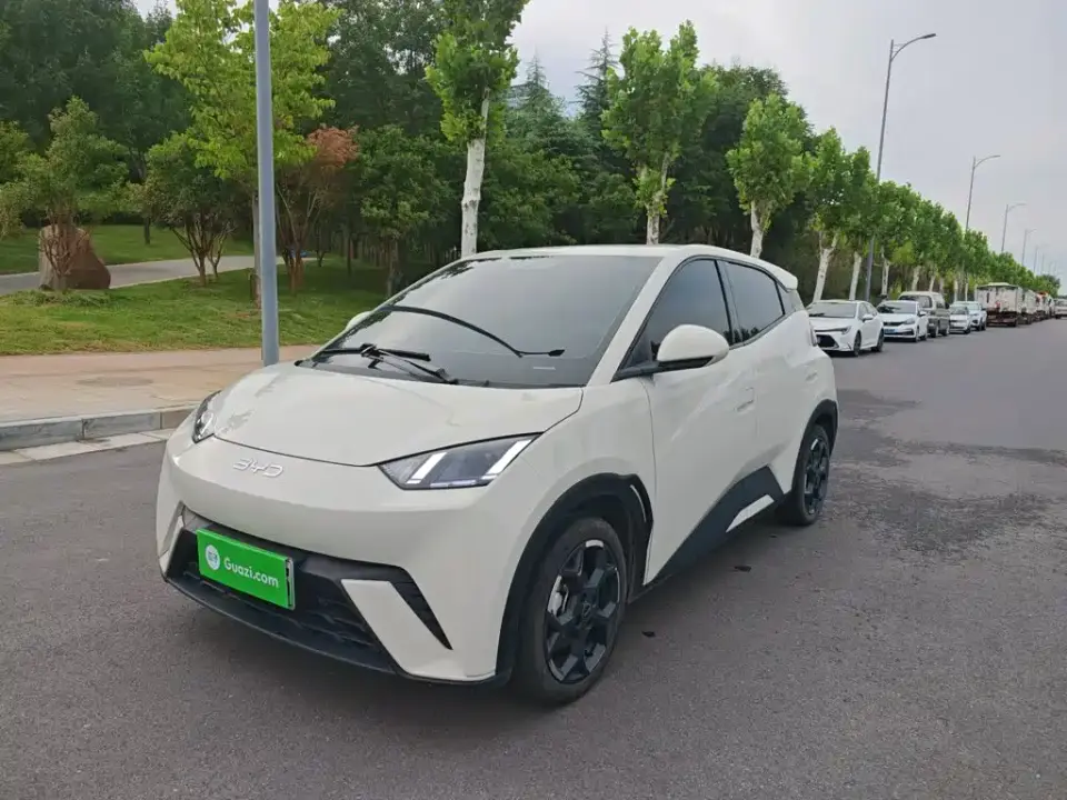 BYD Seagull 305km Freedom 2024