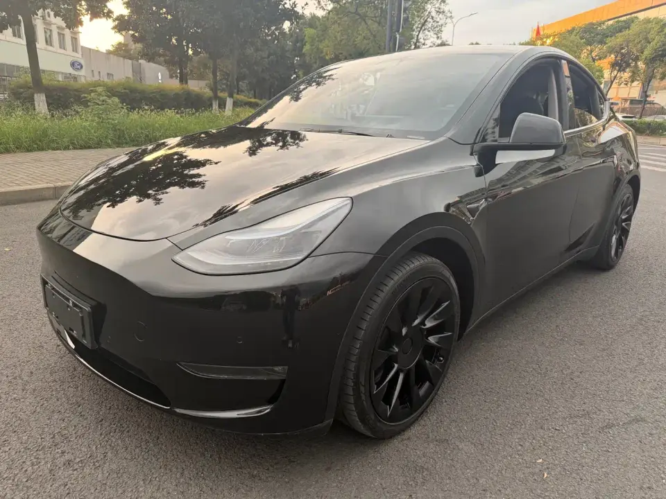 Tesla Model Y Standard Range Rear-Wheel Drive 2021