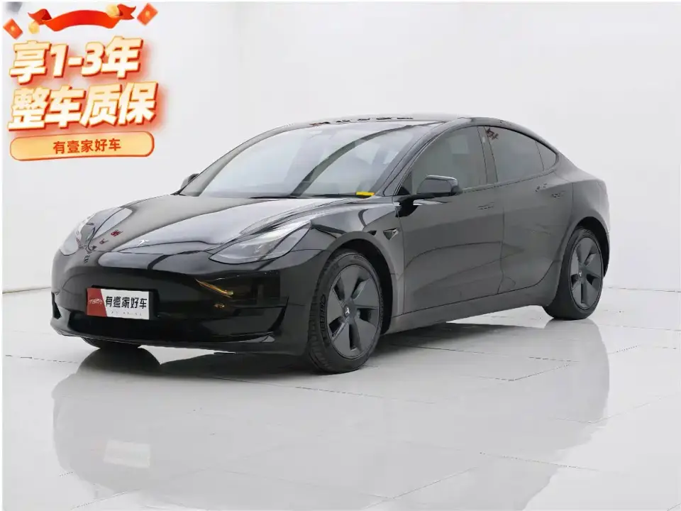 Tesla Model 3 Standard Range Rear-Wheel Drive Upgrade 3D6 2021