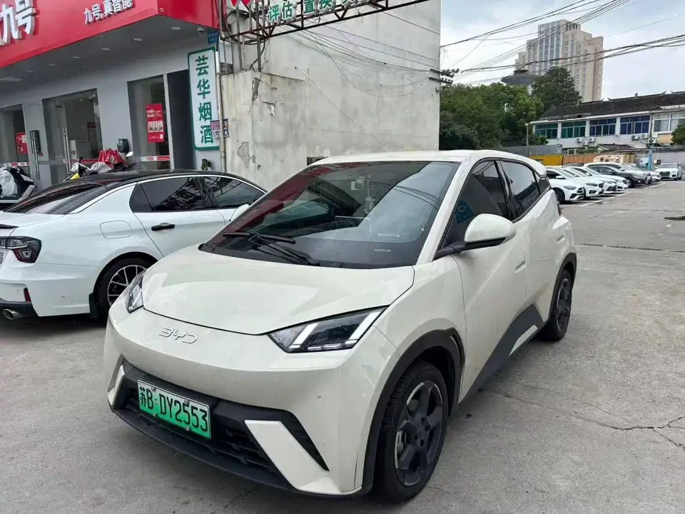 BYD Seagull Freedom Edition 2023