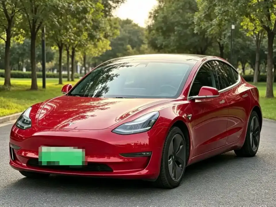 Tesla Model 3 (Import) Long Range RWD Version 2019