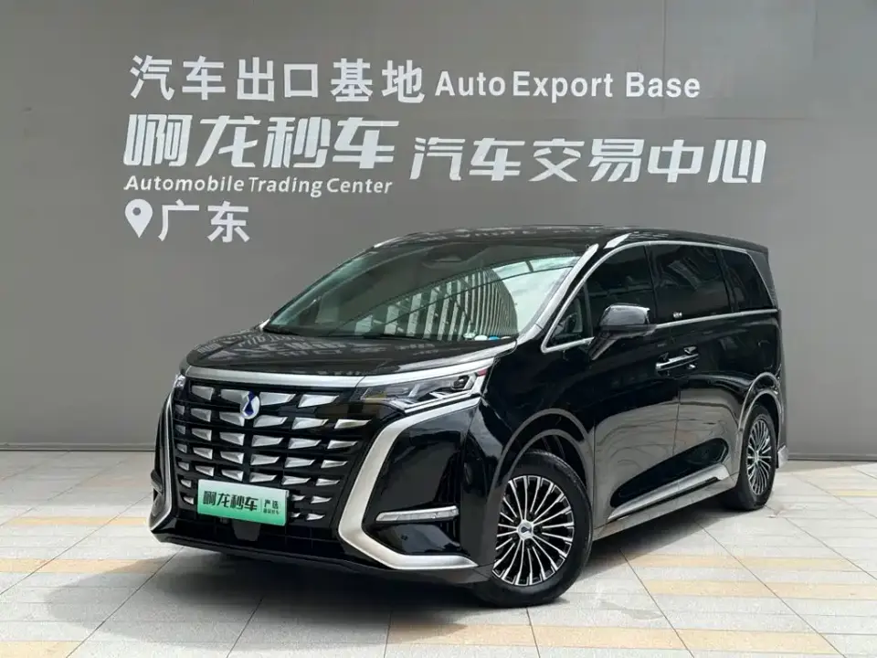 Denza D9 DM-i 980 AWD Premium 2025