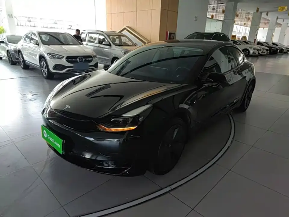 Tesla Model 3 Standard Range Rear-Wheel Drive Upgrade 2021