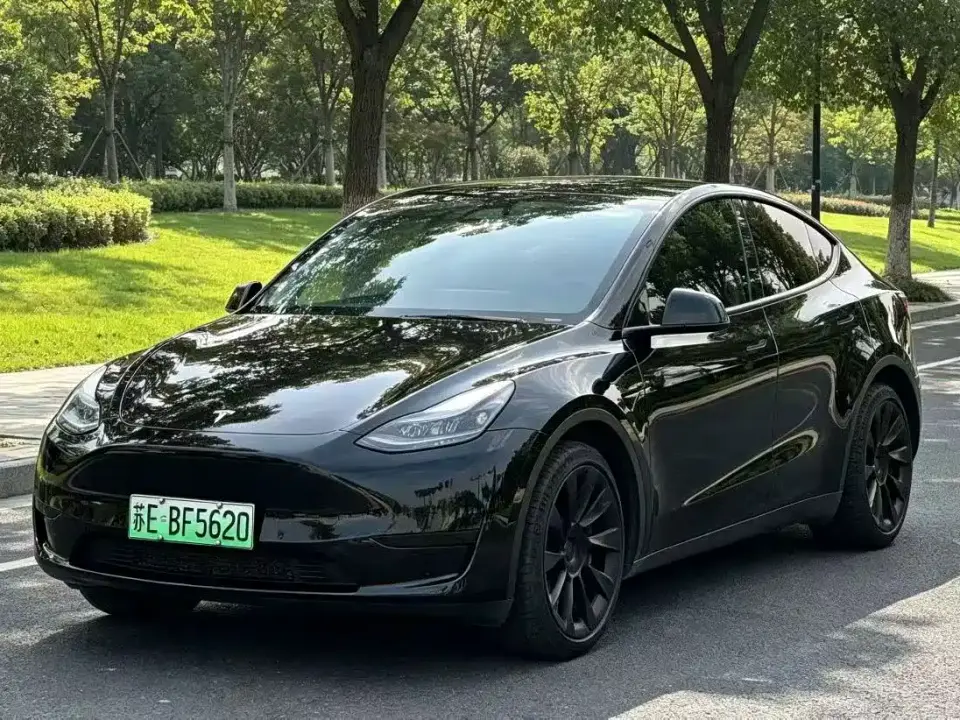Tesla Model Y Rear-Wheel Drive Version 2022