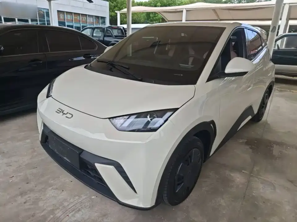 BYD Seagull Glory Edition 305km Vitality Edition 2024