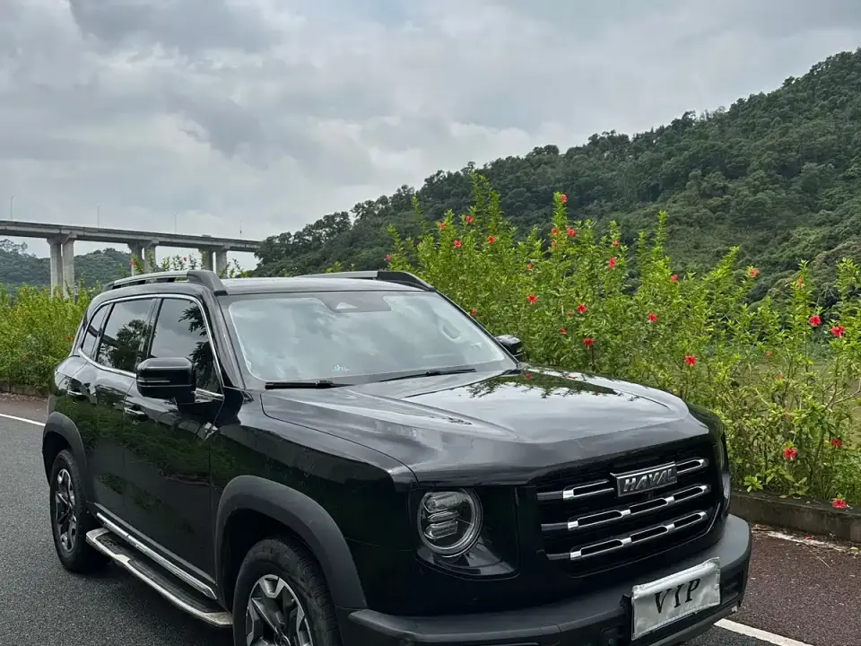 Haval Big Dog 2.0T DCT 4WD Chinese Rural Dog Hunting Edition 2022