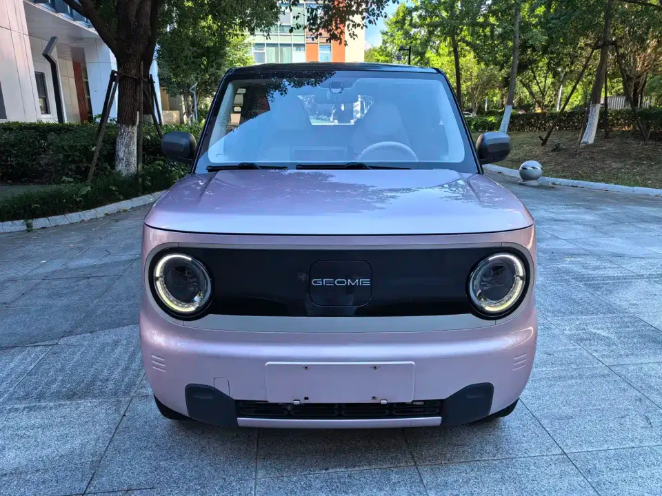 Geely Galaxy Panda Panda Mini 200km Endurance Bear 2023