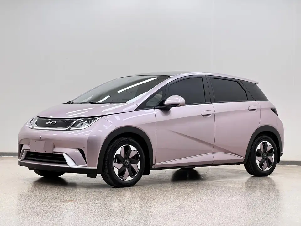BYD Dolphin Glory Edition 420km Fashion Edition 2024