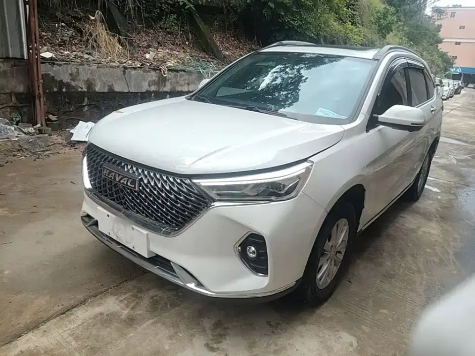 Haval M6 PLUS 1.5T DCT Liu Yan Co-branded Edition 2021
