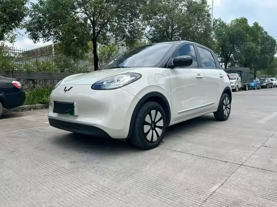 Wuling Motors Wuling Bingo 203km Lite Edition 2024