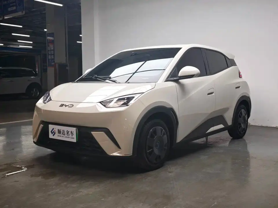 BYD Seagull 305km Vitality 2024