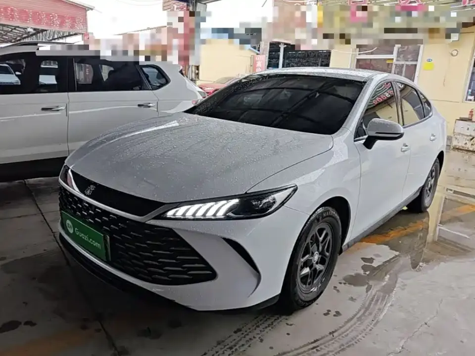 BYD Qin PLUS DM-i Smart Drive 55KM Leader 2025