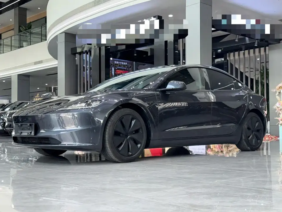 Tesla Model 3 Model Rear-Wheel Drive Edition 2025