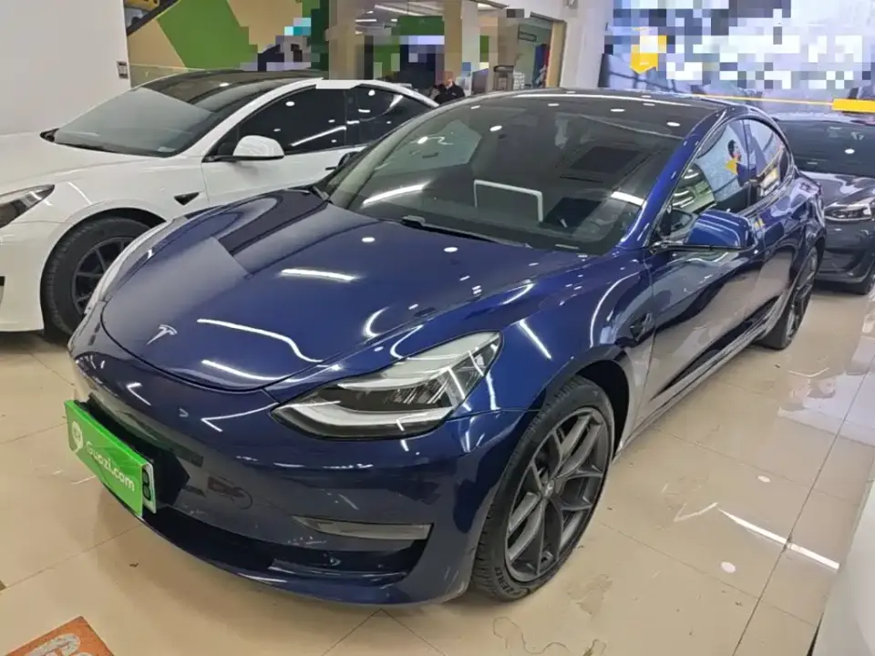 Tesla Model 3 (Import) Long Range RWD Version 2019