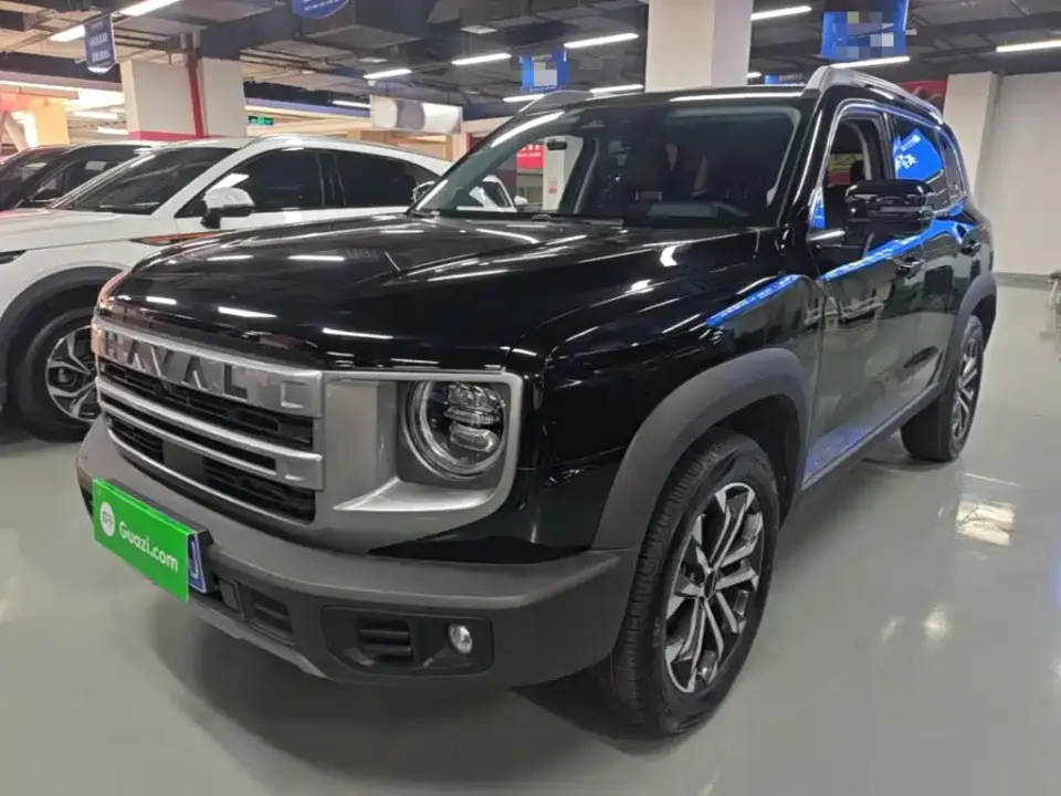 Haval Big Dog 1.5T DCT Border Collie Edition 2025