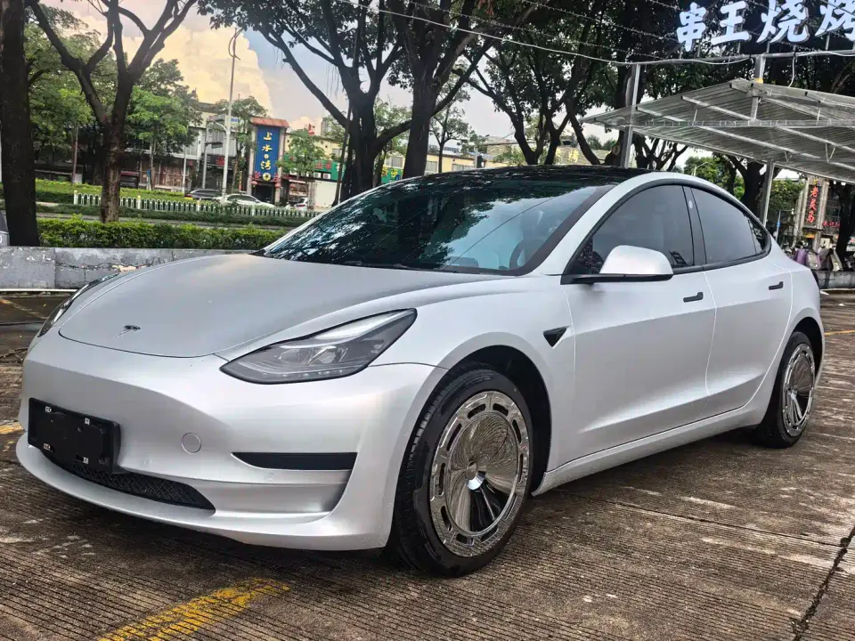 Tesla Model 3 Model Rear-Wheel Drive Version 2022