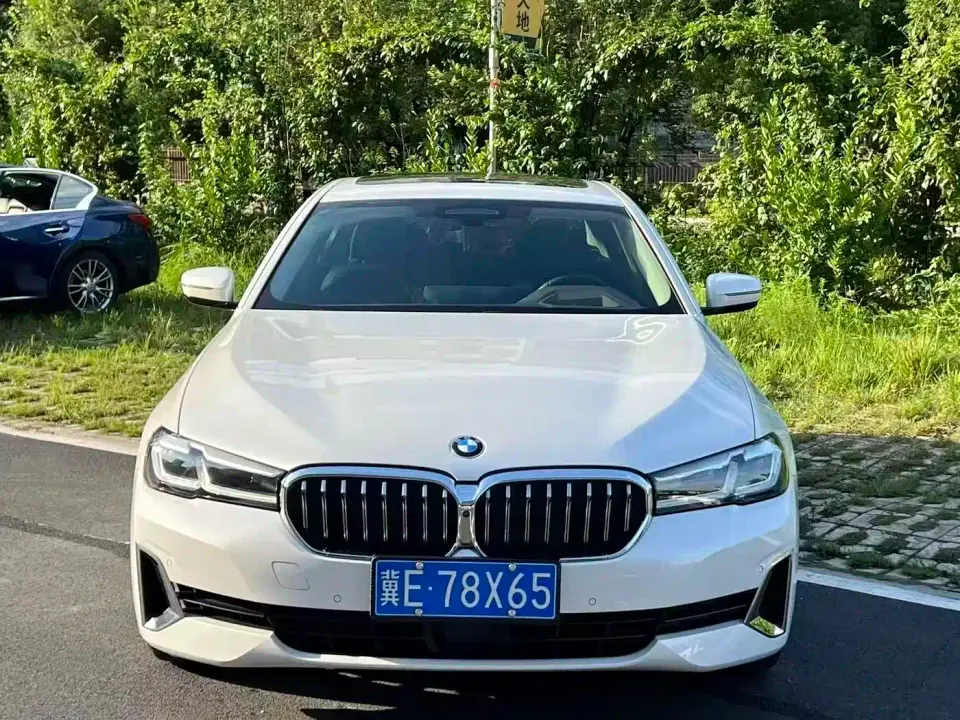 BMW 5 Series 530Li Executive Luxury Package 2021