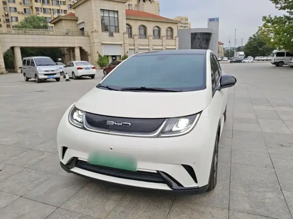 BYD Dolphin 420km Fashion Edition 2023