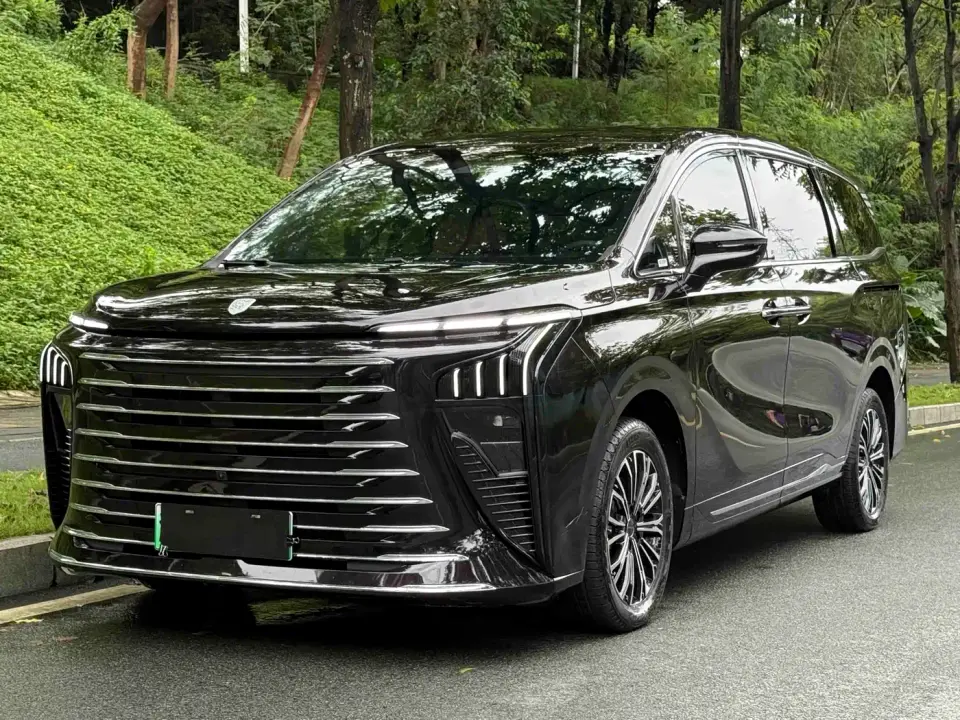 Dongfeng Fengxing Starlight V9 Beyond Joy Series 200km Luxury 2025
