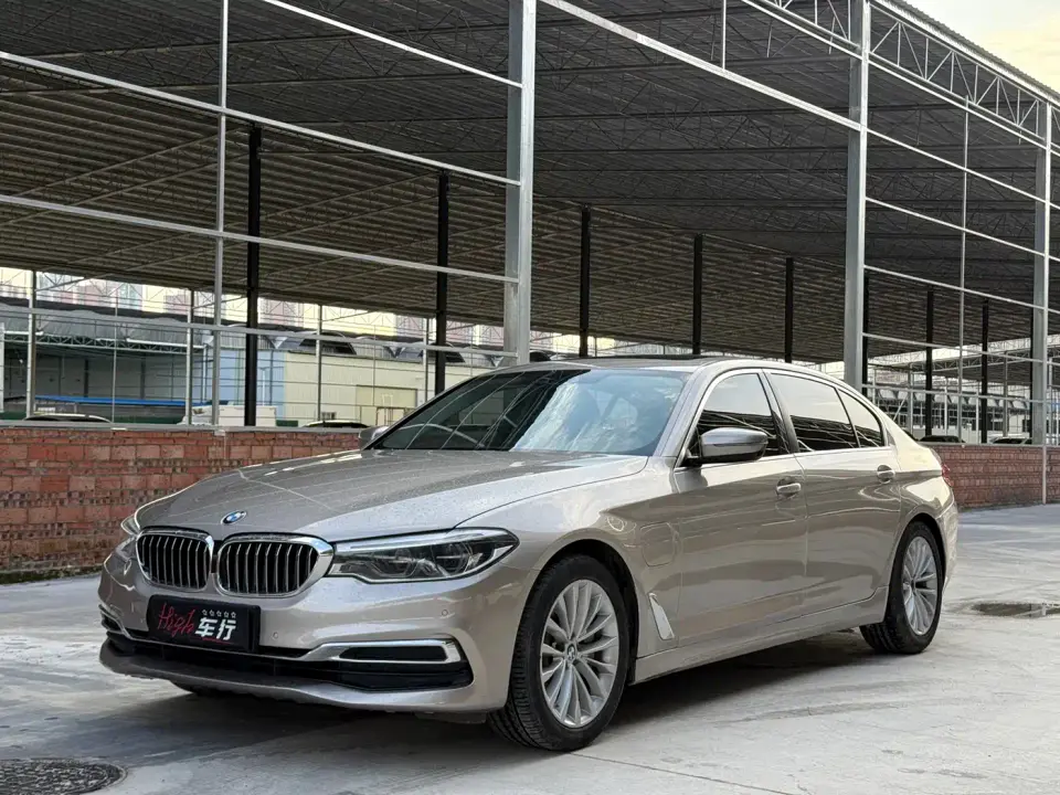 BMW 5 Series New Energy 530Le Luxury Package 2020