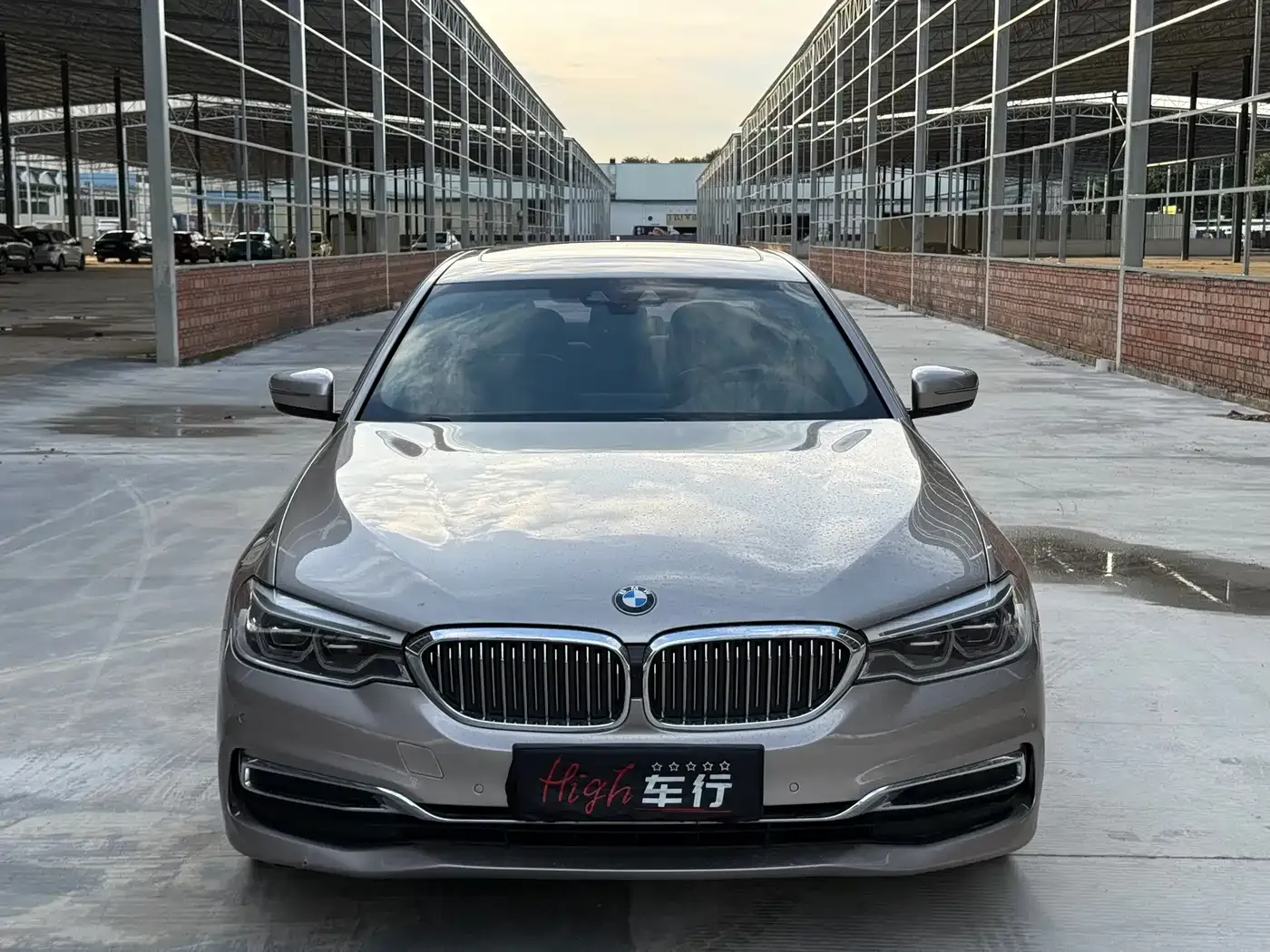 BMW 5 Series New Energy 530Le Luxury Package 2020 — фото 2
