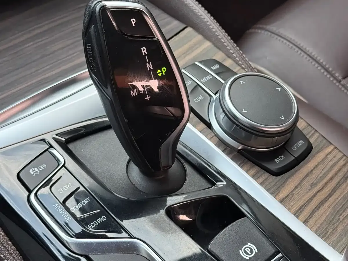 BMW 5 Series New Energy 530Le Luxury Package 2020 — фото 31