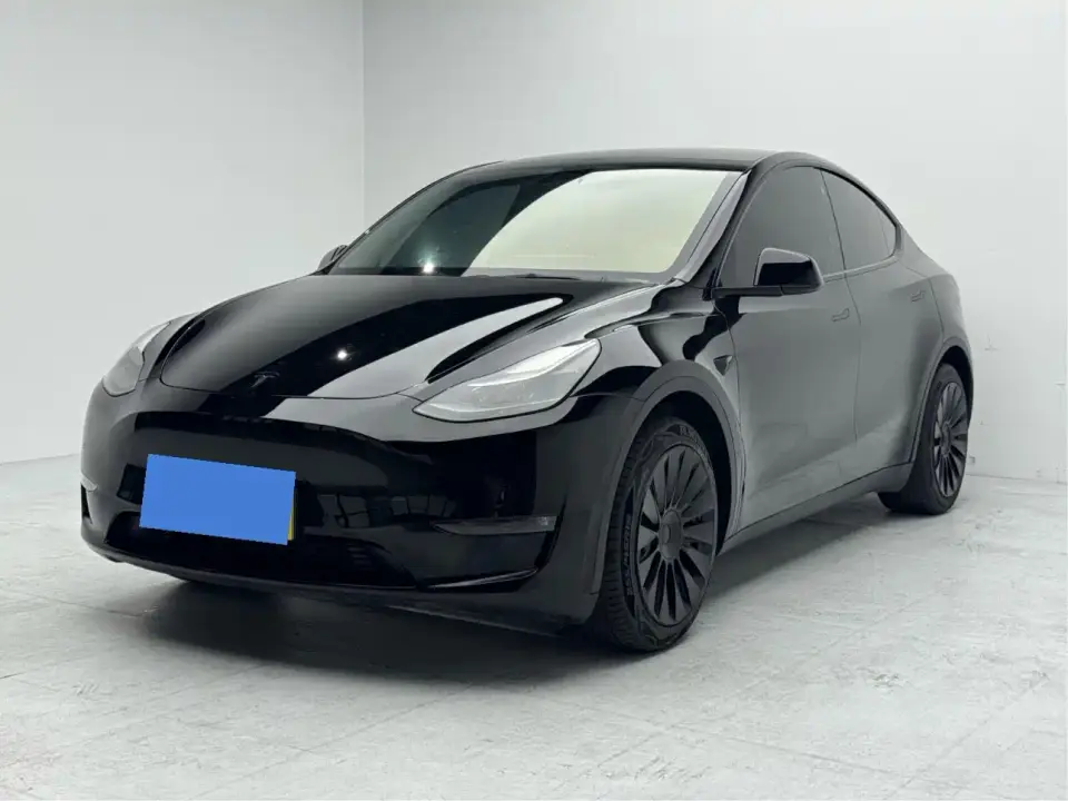 Tesla Model Y Standard Range Rear-Wheel Drive 2021