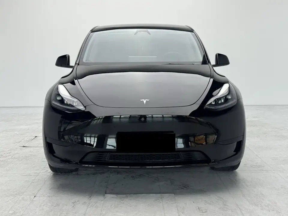 Tesla Model Y Rear-Wheel Drive Version 2024
