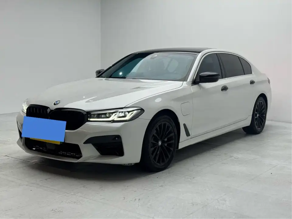 BMW 5 Series New Energy Facelift 535Le Luxury Package 2021