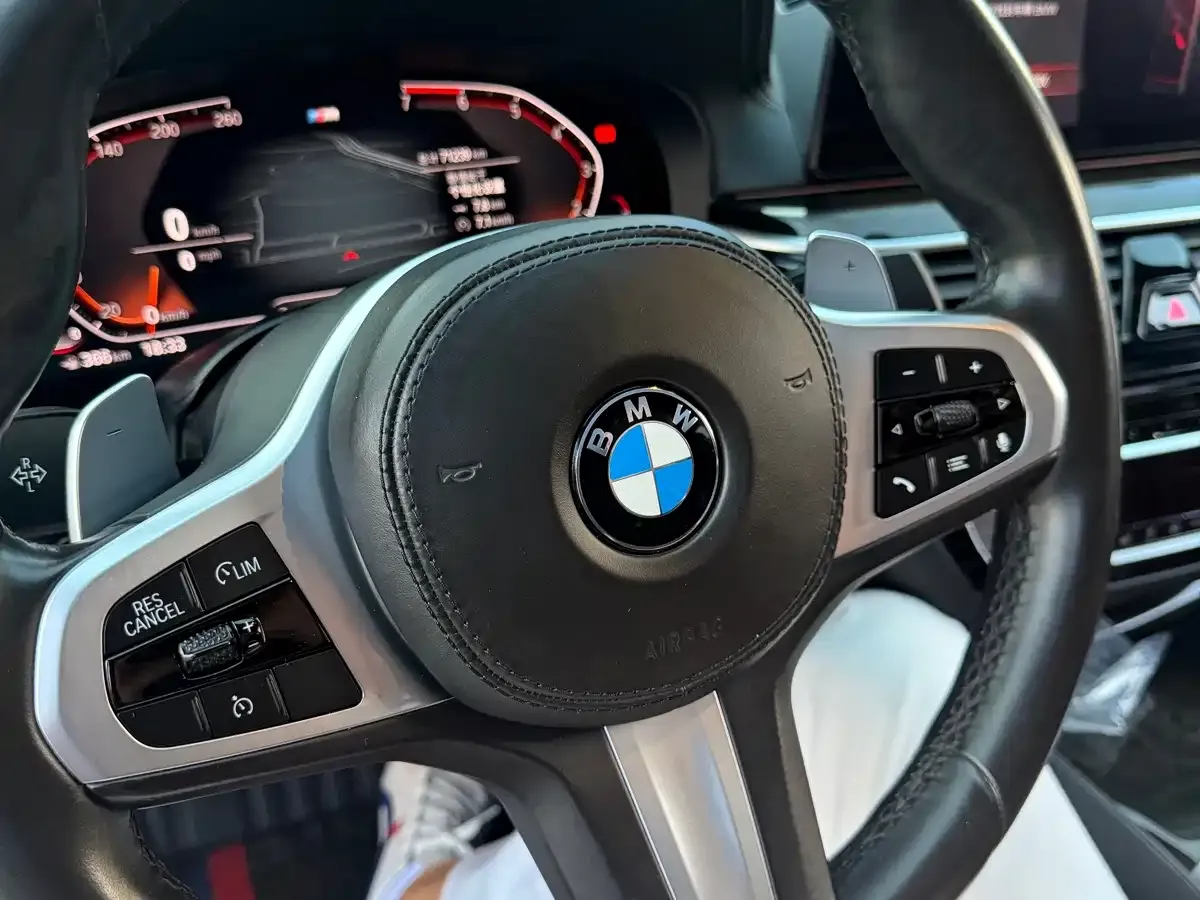 BMW 5 Series 530Li Leading M Sport Package 2020 — фото 20