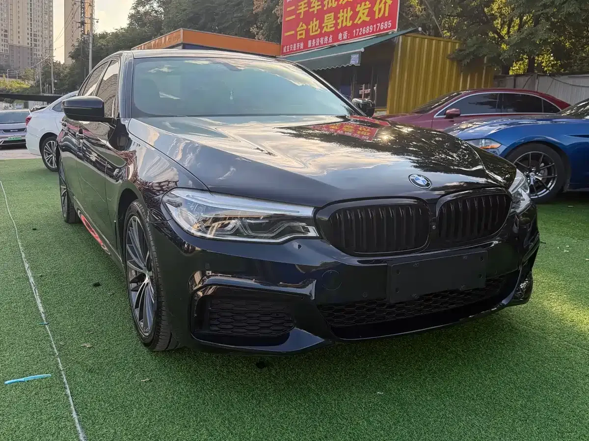 BMW 5 Series 530Li Leading M Sport Package 2020