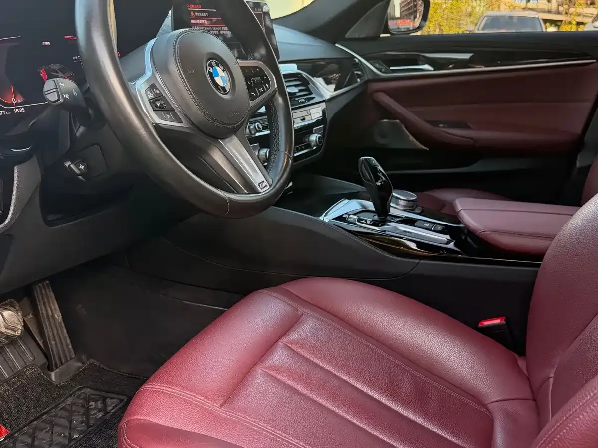 BMW 5 Series 530Li Leading M Sport Package 2020 — фото 4