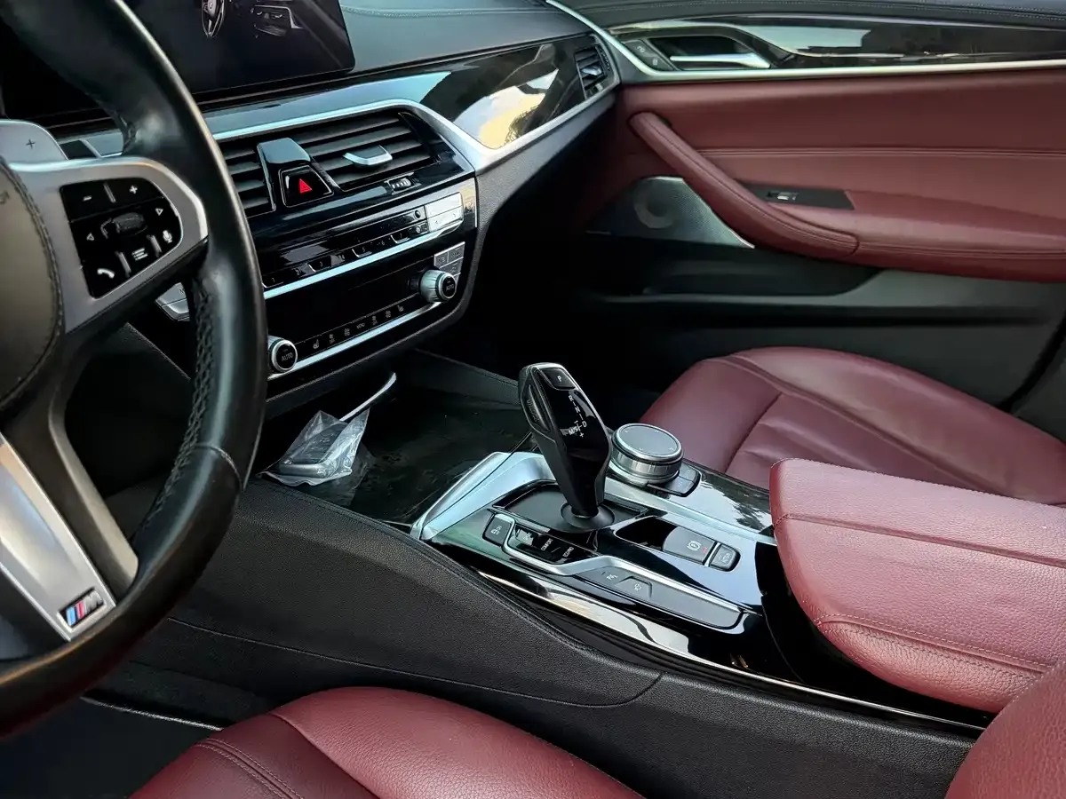 BMW 5 Series 530Li Leading M Sport Package 2020 — фото 11