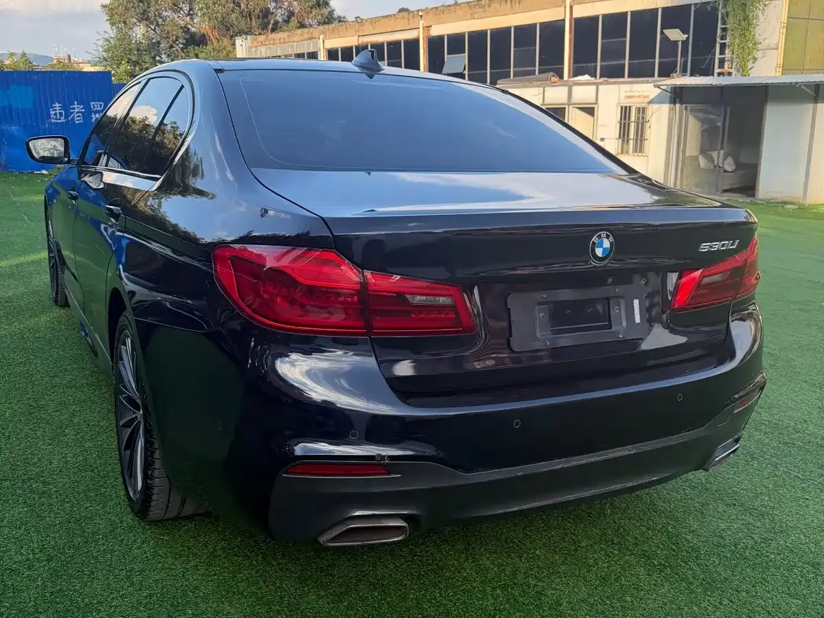 BMW 5 Series 530Li Leading M Sport Package 2020 — фото 7