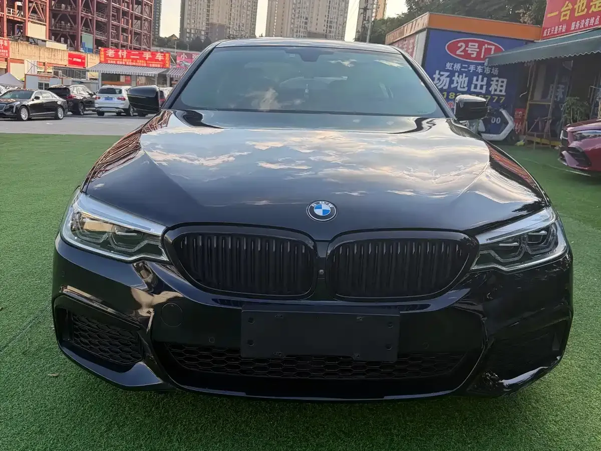 BMW 5 Series 530Li Leading M Sport Package 2020 — фото 2