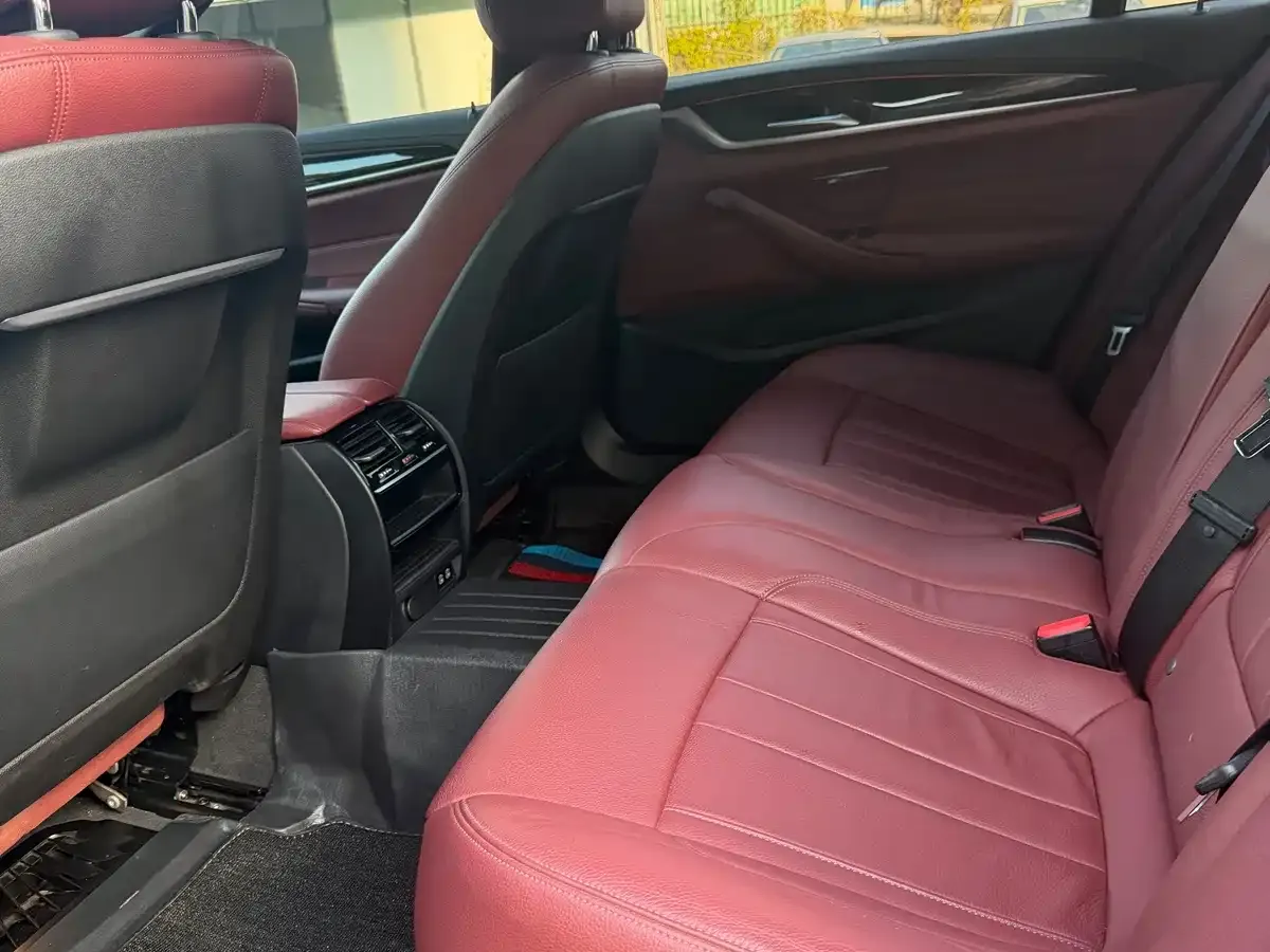 BMW 5 Series 530Li Leading M Sport Package 2020 — фото 5