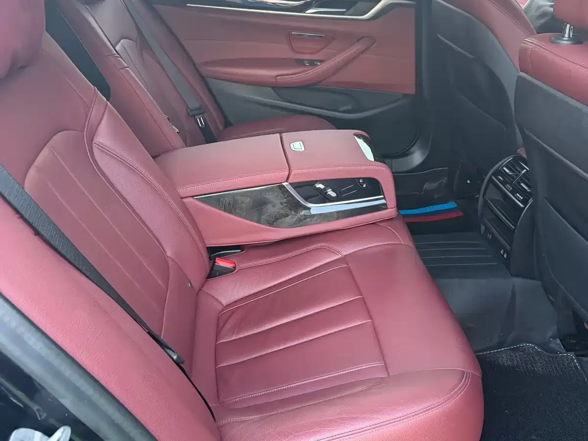 BMW 5 Series 530Li Leading M Sport Package 2020 — фото 18