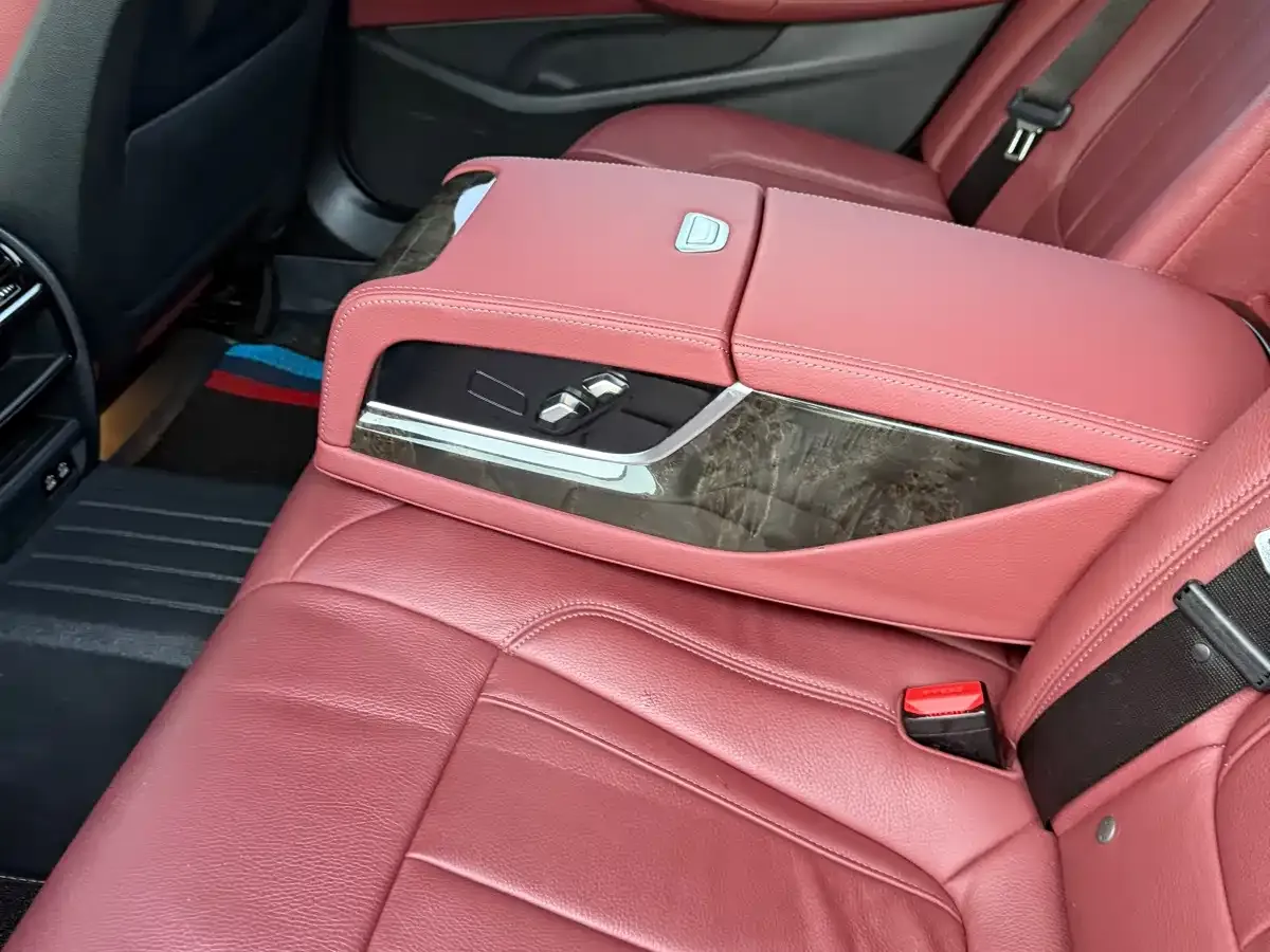 BMW 5 Series 530Li Leading M Sport Package 2020 — фото 12