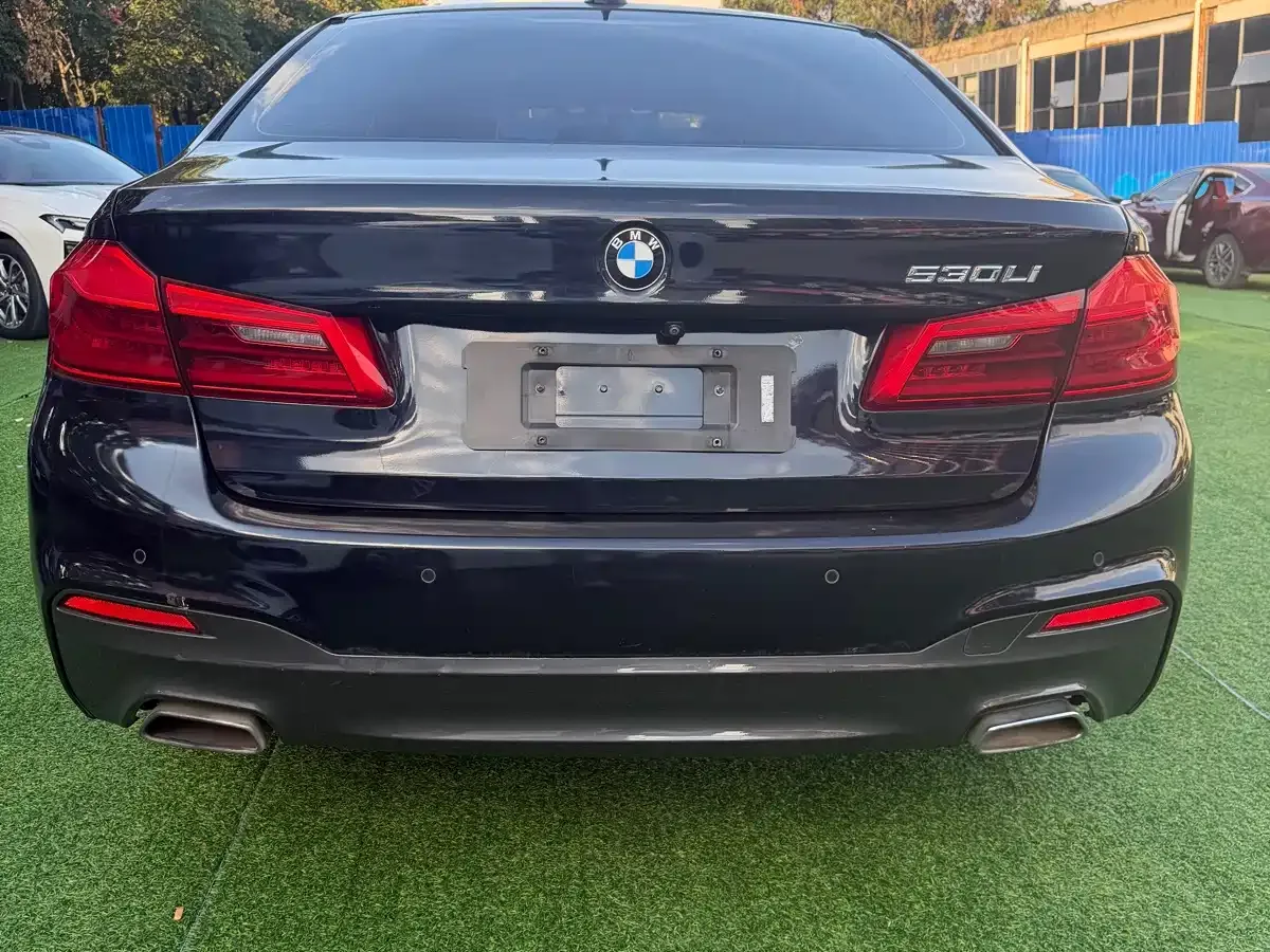 BMW 5 Series 530Li Leading M Sport Package 2020 — фото 8