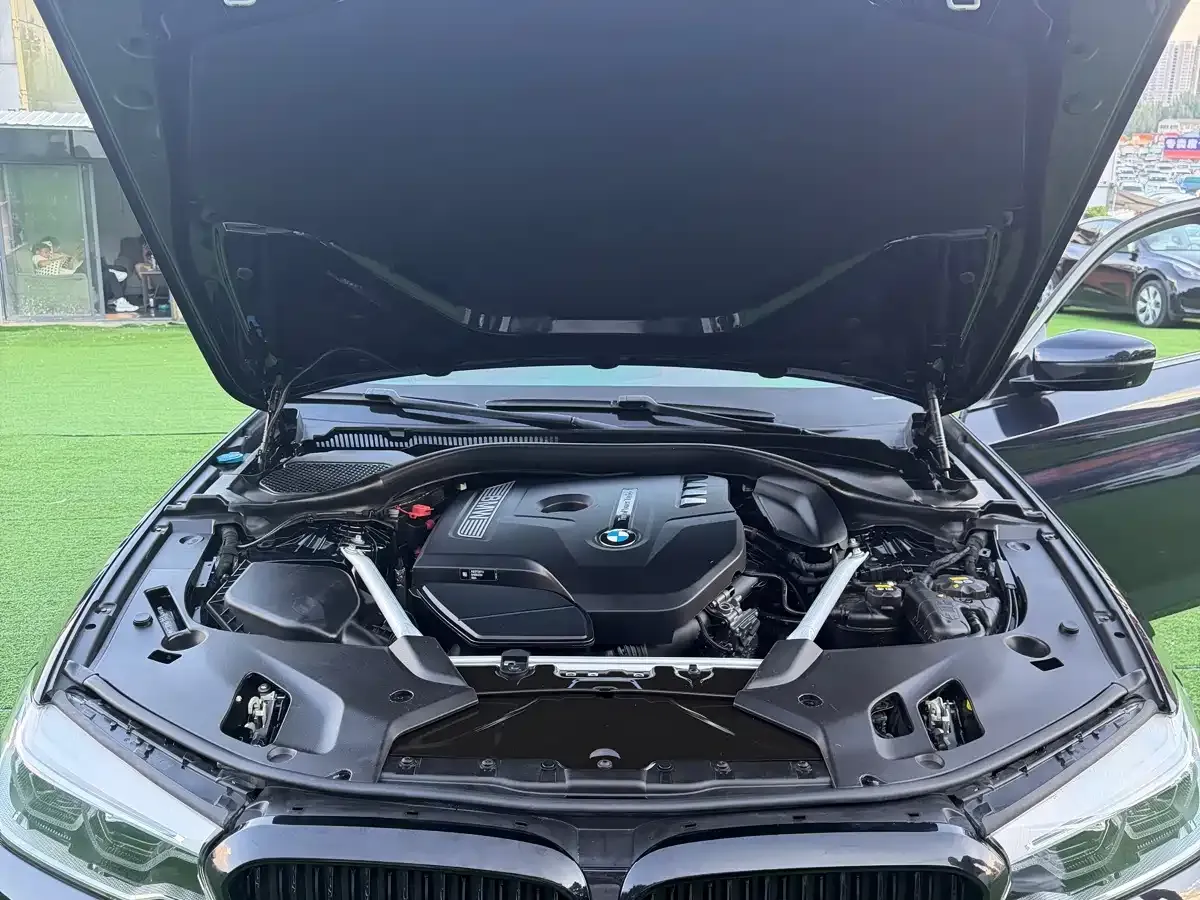 BMW 5 Series 530Li Leading M Sport Package 2020 — фото 15