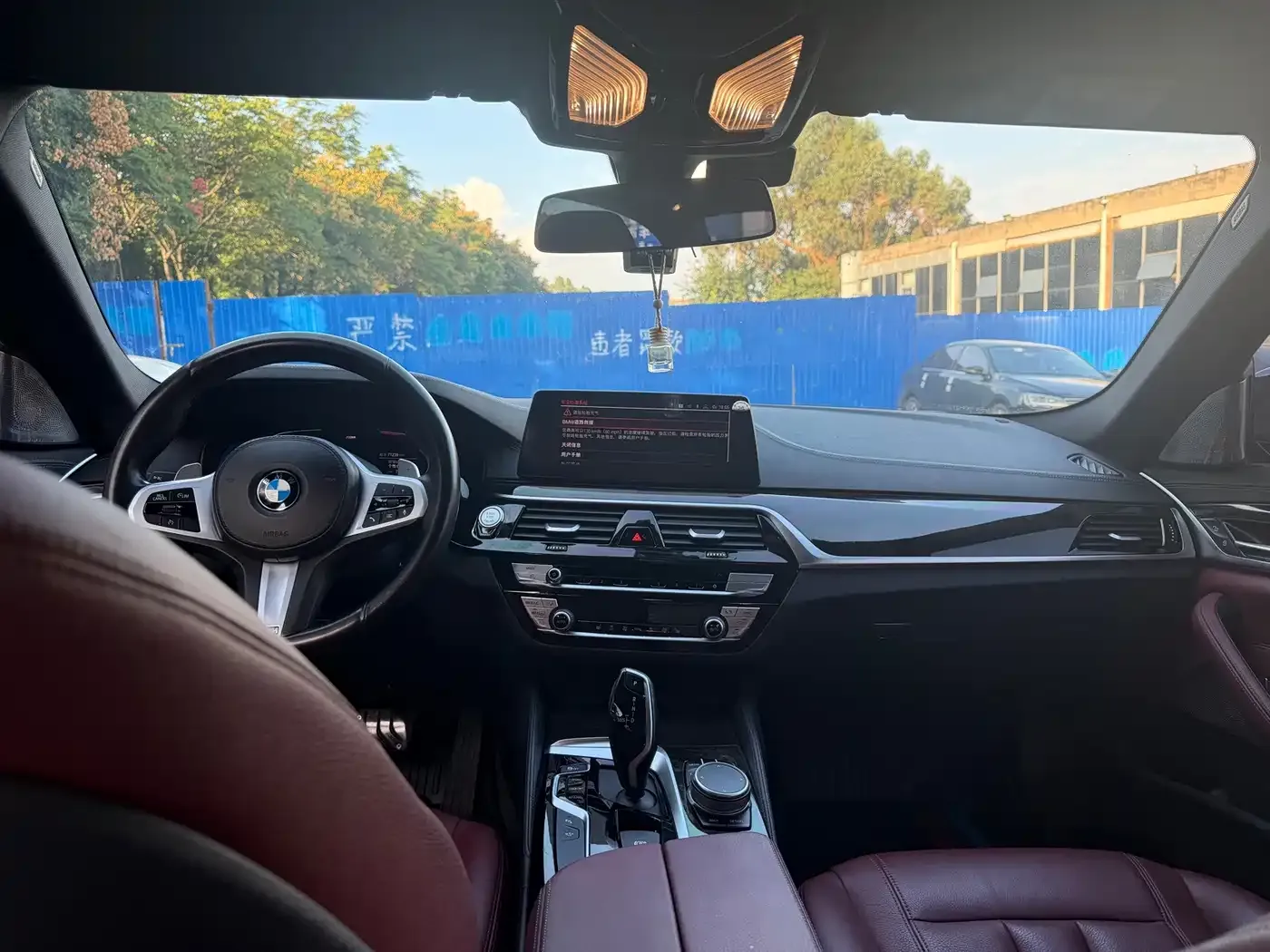 BMW 5 Series 530Li Leading M Sport Package 2020 — фото 6